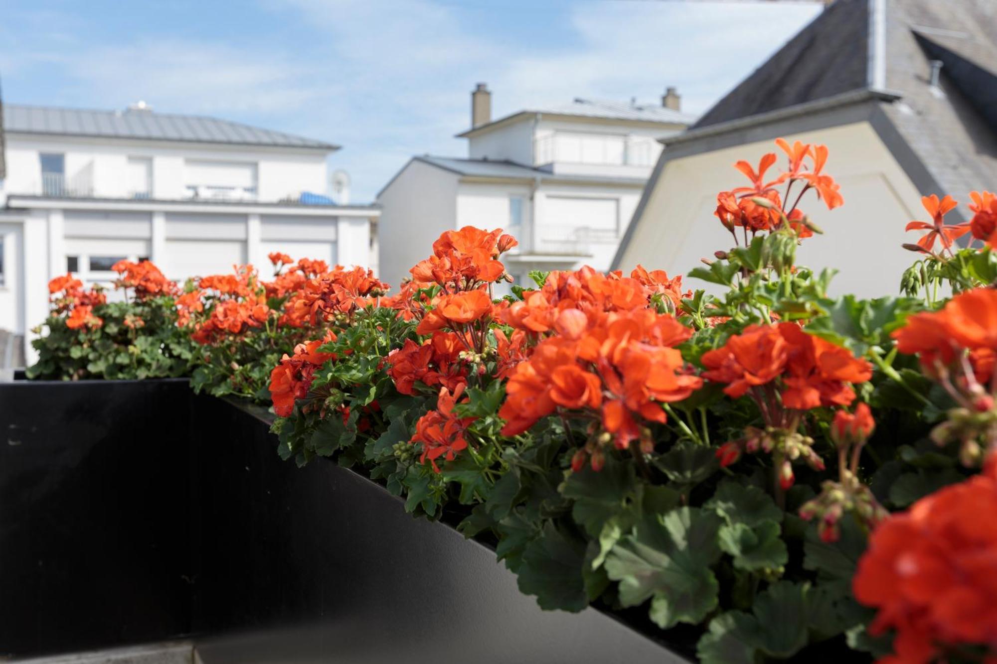 The Queen Luxury Apartments - Villa Vinicia Luxembourg Luaran gambar
